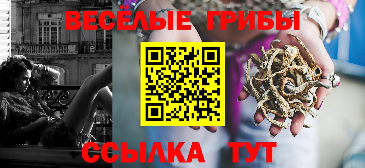 Камень-на-Оби  Галлюциногенные грибы мицелий  Галлюциногенные грибы мухоморы  Вход с VPN 
